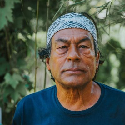 Tue 06 Dec 2022, 15:00 - Talk with Ailton Krenak, leader of Krenak ethnicity & philosopher